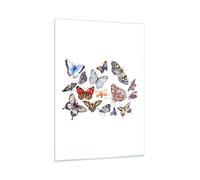Impression sur Verre 50x70cm Tableaux Image Papillons illustration colorés ailes
