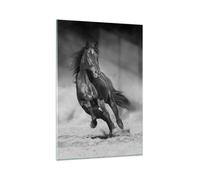 Impression sur Verre 70x100cm Tableaux Image Photo Cheval Galop Dynamique