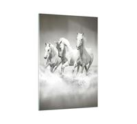 Impression sur Verre 70x100cm Tableaux Image Photo Ferme chevaux galop liberté