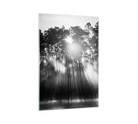 Impression sur Verre 70x100cm Tableaux Image Photo Forêt Pin Soleil Decoration