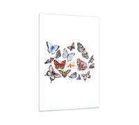 Impression sur Verre 70x100cm Tableaux Papillons illustration colorés ailes