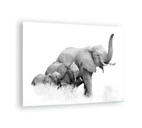 Impression sur Verre 70x50cm Tableaux Image Éléphants Famille Noir Et Blanc