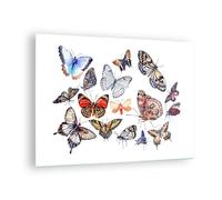 Impression sur Verre 70x50cm Tableaux Image Papillons illustration colorés ailes
