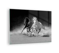 Impression sur Verre 70x50cm Tableaux Image Photo Andalouse Chevaux Galop
