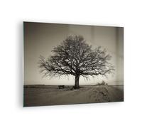 Impression sur Verre 70x50cm Tableaux Image Photo Arbre Neige Sépia Decoration