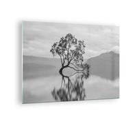 Impression sur Verre 70x50cm Tableaux Image Photo Arbre Symétrie Lac Decoration