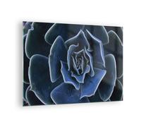 Impression sur Verre 70x50cm Tableaux Image Photo Bleu Cactus Fleur Decoration