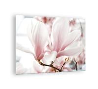 Impression sur Verre 70x50cm Tableaux Image Photo Brindille Magnolia Fleur