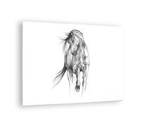 Impression sur Verre 70x50cm Tableaux Image Photo Cheval Galop Des Animaux