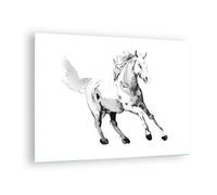 Impression sur Verre 70x50cm Tableaux Image Photo Cheval Galop Des Animaux