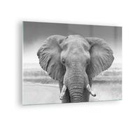 Impression sur Verre 70x50cm Tableaux Image Photo Éléphant Afrique Des Animaux