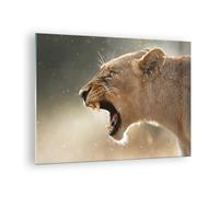 Impression sur Verre 70x50cm Tableaux Image Photo Lion Lionne Crocs Decoration