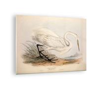 Impression sur Verre 70x50cm Tableaux Image Photo Oiseau blanc héron Decoration