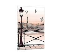 Impression sur Verre 80x120cm Tableaux France pigeon graphiques illustration