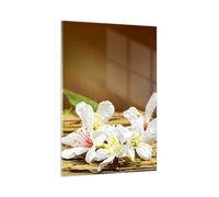 Impression sur Verre 80x120cm Tableaux Image Photo Asie spa bambou fleur