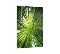 Impression sur Verre 80x120cm Tableaux Image Photo Bambou Jungle Vert Decoration
