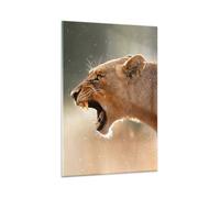 Impression sur Verre 80x120cm Tableaux Image Photo Lion Lionne Crocs Decoration