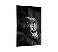 Impression sur Verre 80x120cm Tableaux Image Photo Singe Gorille Portrait