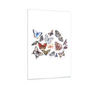 Impression sur Verre 80x120cm Tableaux Papillons illustration colorés ailes