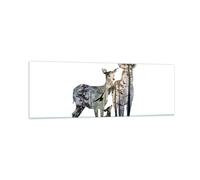 Impression sur Verre 90x30cm Tableaux Image Deer famille sauvagerie illustration
