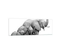Impression sur Verre 90x30cm Tableaux Image Éléphants Famille Noir Et Blanc