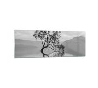 Impression sur Verre 90x30cm Tableaux Image Photo Arbre Symétrie Lac Decoration