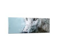 Impression sur Verre 90x30cm Tableaux Image Photo Blanc Le Loup Image Decoration