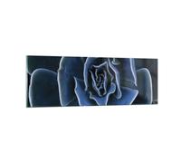 Impression sur Verre 90x30cm Tableaux Image Photo Bleu Cactus Fleur Decoration