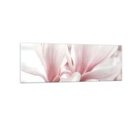 Impression sur Verre 90x30cm Tableaux Image Photo Brindille Magnolia Fleur