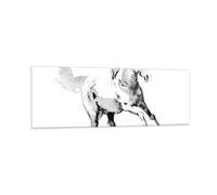Impression sur Verre 90x30cm Tableaux Image Photo Cheval Galop Des Animaux