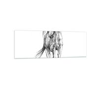 Impression sur Verre 90x30cm Tableaux Image Photo Cheval Galop Des Animaux