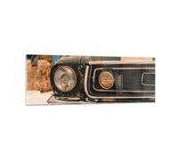 Impression sur Verre 90x30cm Tableaux Image Photo Couverture Ford Mustang