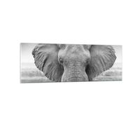 Impression sur Verre 90x30cm Tableaux Image Photo Éléphant Afrique Des Animaux