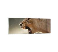 Impression sur Verre 90x30cm Tableaux Image Photo Lion Lionne Crocs Decoration