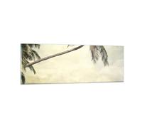 Impression sur Verre 90x30cm Tableaux Image Photo Paume Plage Île Art Decoration
