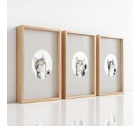 Impression Toile Decoration Murale Peinture 29.7 x 42 - Gris Graphite, Cartoon Minimaliste Chatons Esquisse Mignon - Tableaux Art Décoratif Muraux Décor - Pour Salon Ferme Restaurant Salle de Bain