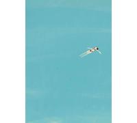 Impressions D'Art Mural Sur Toile Représentant Une Piscine Estivale, Une Fête, Une Plage, Un Océan Ou Un Bateau, Affiche Nordique, Décoration De Salon, Format A2 40X50Cm Sans Cadre