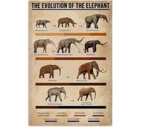 Impressions d'art mural vintage L'évolution de la connaissance de l'éléphant Plaque en métal Stegotetrabelodon Nanren Cave Bar Coffee Shop School Garage Chambre Décoration murale 8x12 pouces