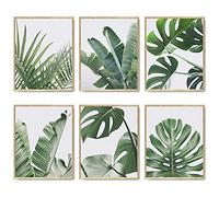 Impressions Murales Botaniques Lot de 6 Décor de Feuilles Tropicales Feuille de Plante Sur Toile d'art Mural Décoration Murale Ensemble d'affiches d'art 8"x10" (20.3x25.4cm) SANS CADRE