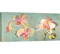 Impressions sur toile avec fleurs - Luca Villa - Jewel Orchids - 100x50 cm