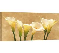 Impressions sur toile, fleurs modernes - Serena Biffi, White Callas - 140x70 cm