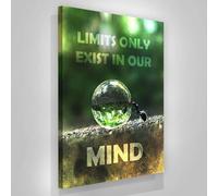Impressions sur toile motivantes « Il n'y a pas de limites »