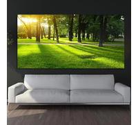 Impressions sur toile représentant une forêt et un lever de soleil, peinture d'arbres verts, affiches murales, images pour décoration de salon, sans cadre, 50 x 100 cm (20 x 39 pouces)
