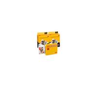 Imprimante photo MINI 3 RETRO P300RW60 Blanc