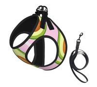 Imprimé Avocat Rose,Harnais pour Animaux de Compagnie, Harnais réfléchissant réglable pour Chien,L