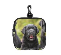 Imprimé de Chien Labrador Retriever,Pochette de Rangement carrée à Fermeture éclair, Porte-Monnaie en néoprène, Petit Portefeuille, Pochette à Monnaie, Porte-Monnaie