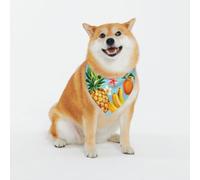 Imprimé fruits tropicaux et fleurs classiques et écharpes lavables pour chiens et chats élégants, bandanas personnalisés pour chiens et chats - Écharpe élégante pour chiens de taille moyenne à grande