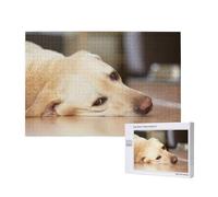 Imprimé Labrador Retriever Jaune,Puzzle Familial en Bois de 1 000 pièces pour Adultes et Adolescents, décoration d'intérieur