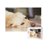Imprimé Labrador Retriever Jaune,Puzzle Familial en Bois de 300 pièces pour Adultes et Adolescents, décoration d'intérieur