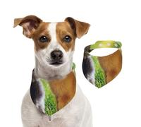 Imprimé Lapin Amour,Bandanas pour Chien, écharpe en Coton, Bavoirs réglables pour Animaux de Compagnie,L